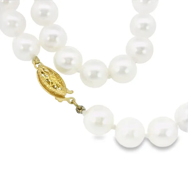 14K Yellow Gold Cultured Akoya Pearl Strand Necklace Image 2 S&E Jewelers Depew, NY