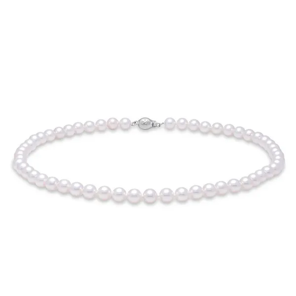 14K White Gold Akoya Pearl Strand Necklace Image 2 S&E Jewelers Depew, NY