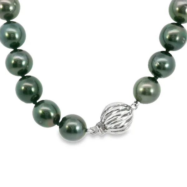 Tahitian Pearl Necklace with Sterling Silver Clasp Image 2 S&E Jewelers Depew, NY