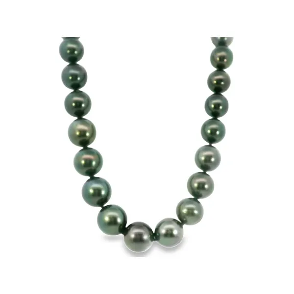 Tahitian Pearl Necklace with Sterling Silver Clasp S&E Jewelers Depew, NY