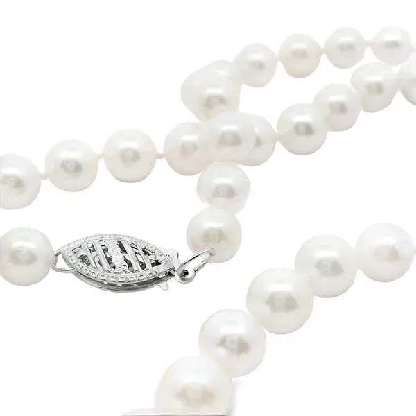14K White Gold Akoya Pearl Necklace Image 2 S&E Jewelers Depew, NY