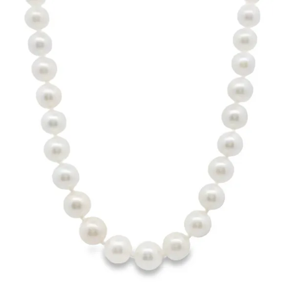 14K White Gold Akoya Pearl Necklace S&E Jewelers Depew, NY