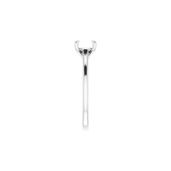 14KT White Gold Engagement Ring Mounting Image 4 S&E Jewelers Depew, NY