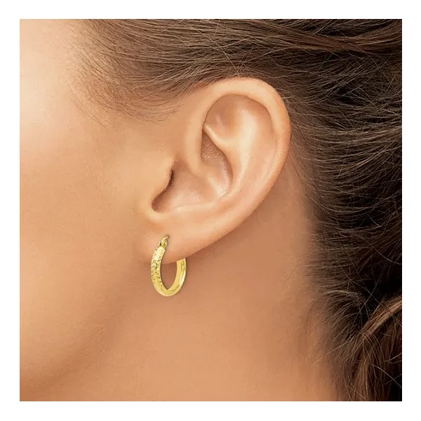 10Kt Yellow Gold Hinged Hoop Earrings Image 3 S&E Jewelers Depew, NY