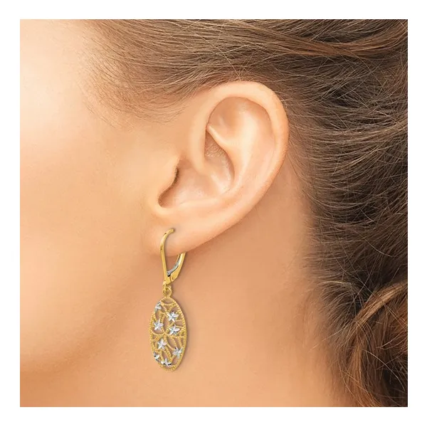 10Kt Tricolor Gold Leverback Dangle Earrings Image 4 S&E Jewelers Depew, NY