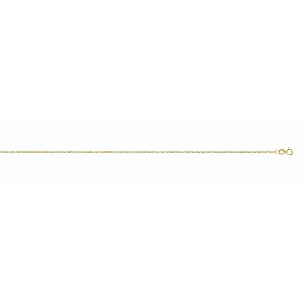 10Kt Gold Singpore Chain S&E Jewelers Depew, NY