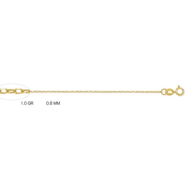 14Kt Gold Chain S&E Jewelers Depew, NY