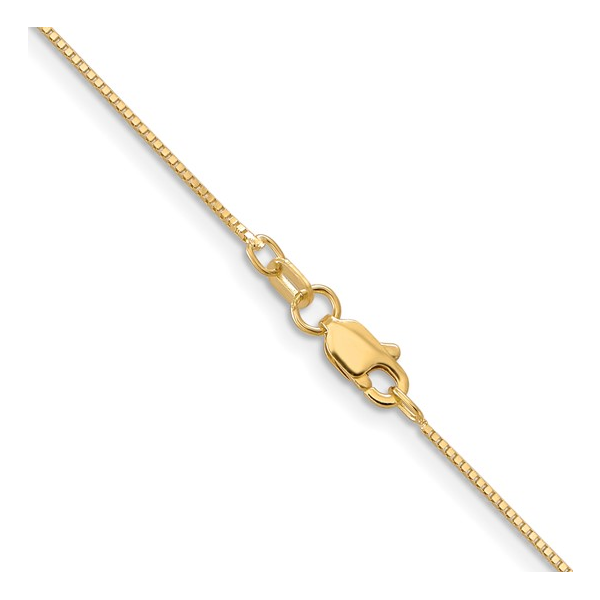 10Kt Yellow Box Chain Image 3 S&E Jewelers Depew, NY