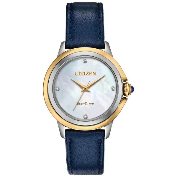 StainlessSteel Watch S&E Jewelers Depew, NY