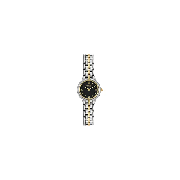 StainlessSteel Watch S&E Jewelers Depew, NY