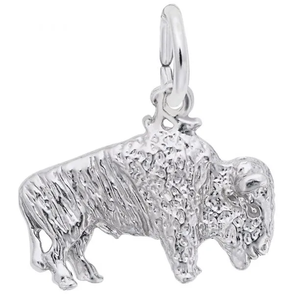Sterling Silver Charm S&E Jewelers Depew, NY