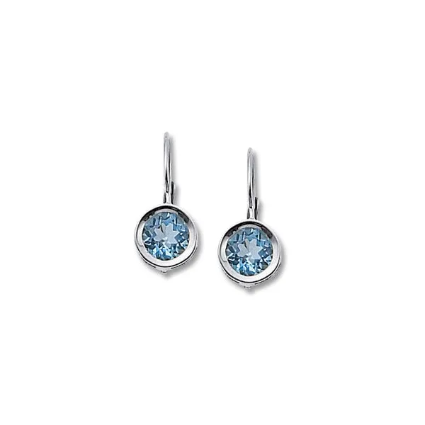 Blue Topaz Sterling Silver Earrings S&E Jewelers Depew, NY