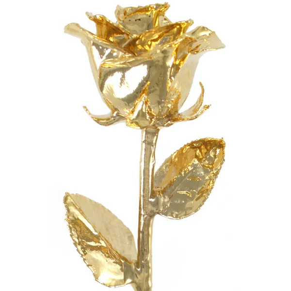 24KT Gold Rose S&E Jewelers Depew, NY