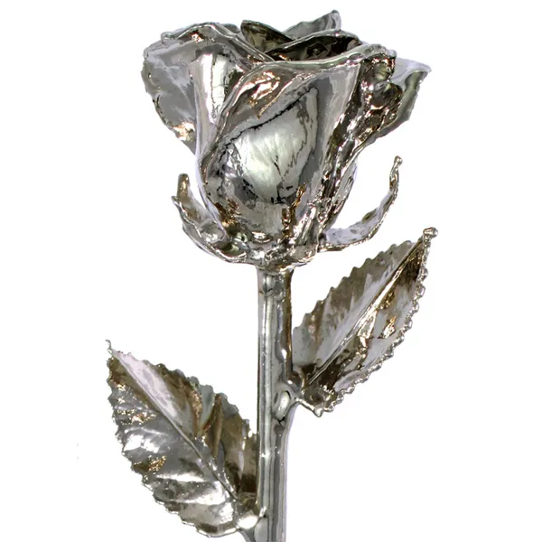 Platinum Rose S&E Jewelers Depew, NY