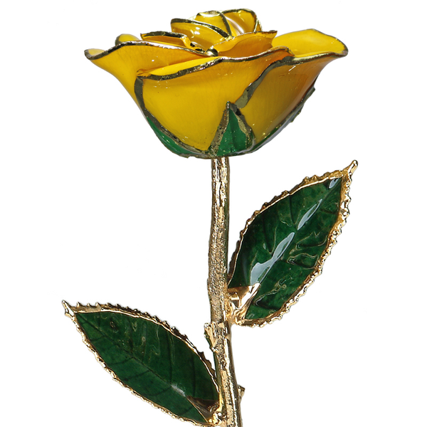 Colored Roses S&E Jewelers Depew, NY