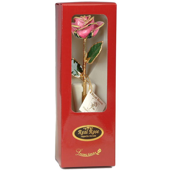 Colored Roses Image 2 S&E Jewelers Depew, NY