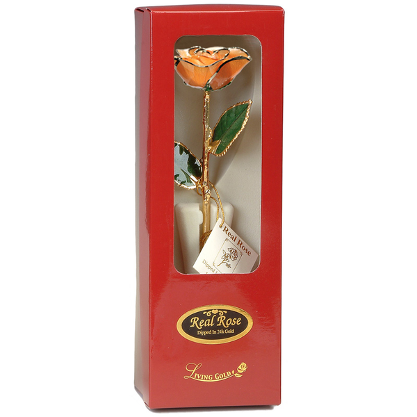 Colored Roses Image 2 S&E Jewelers Depew, NY