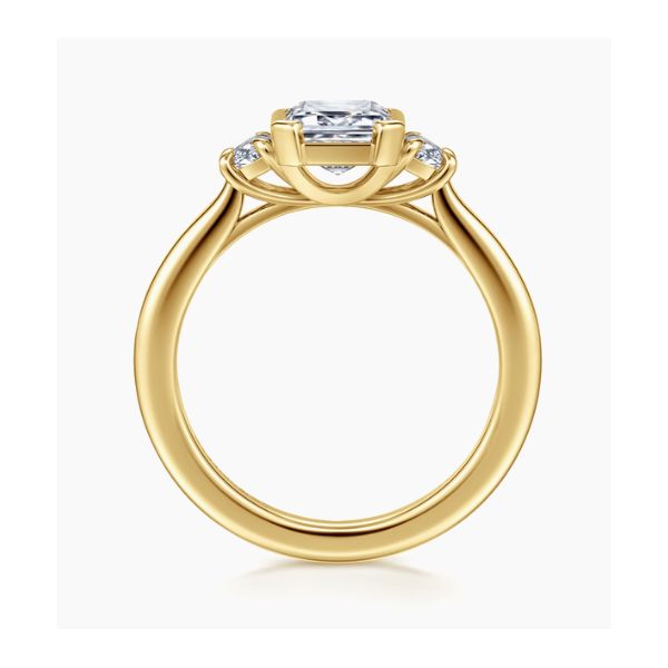 Engagement Ring Setting (No Center) Image 2 Sather Jewelry Spooner, WI