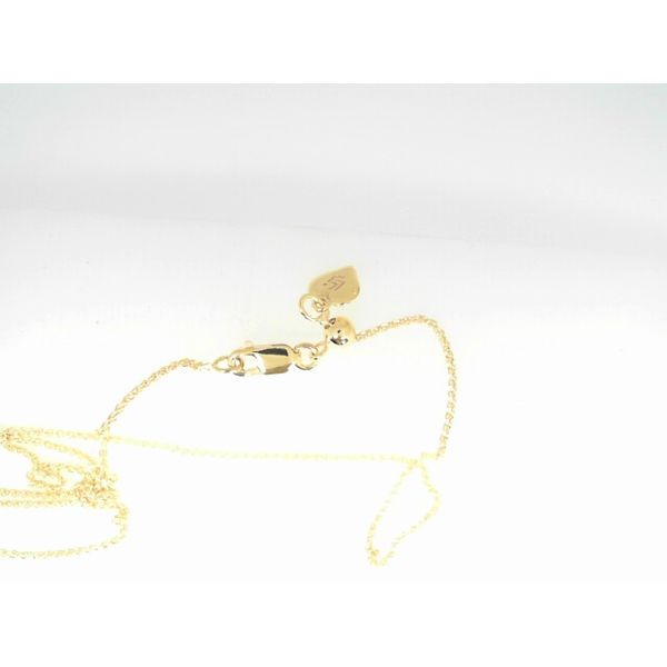 Silver Chain Sather Jewelry Spooner, WI