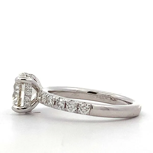 14 Karat White Gold Diamond Hidden Halo Ring