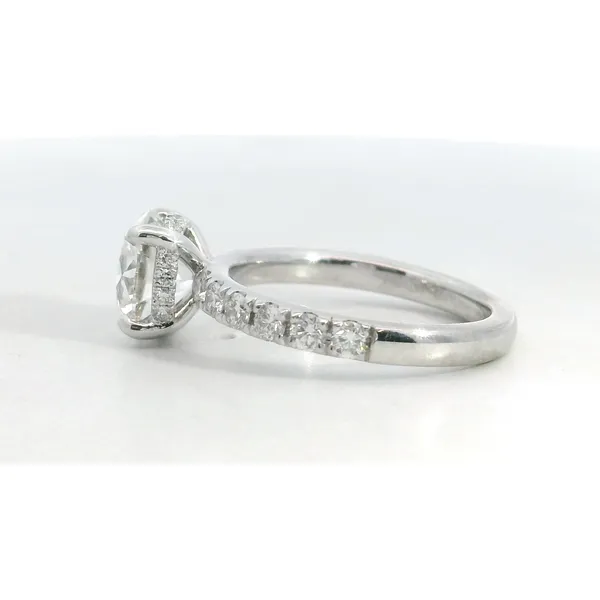 14 Karat White Gold Diamond Hidden Halo Ring Image 2 Saxons Fine Jewelers Bend, OR