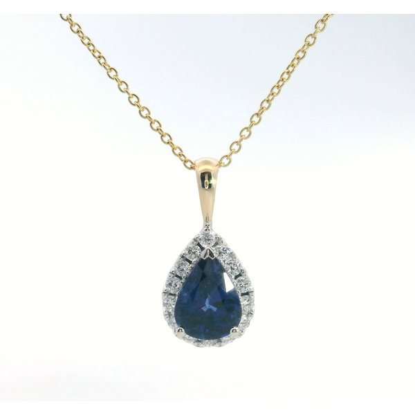 18 Karat White Gold Blue Sapphire Pear Cut Diamond Halo Studs Saxons Fine Jewelers Bend, OR