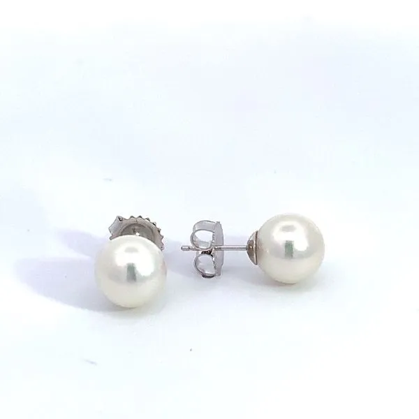 14 Karat White Gold Akoya Pearl Studs Saxons Fine Jewelers Bend, OR