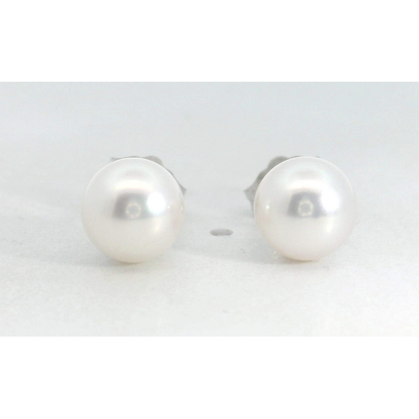 Akoya Pearl Studs Saxons Fine Jewelers Bend, OR