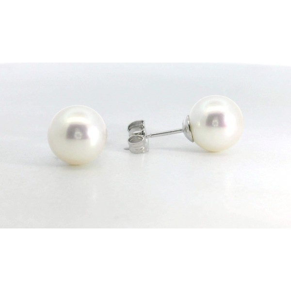 14 Karat White Gold Pearl Studs Saxons Fine Jewelers Bend, OR