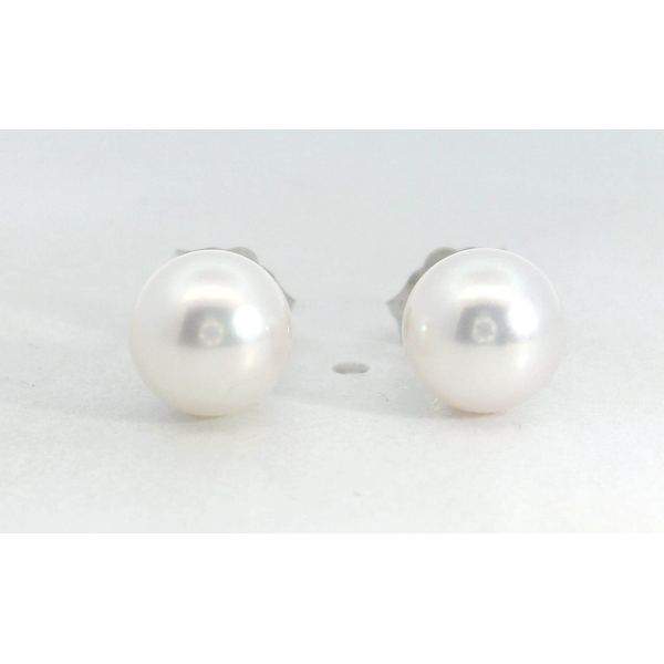 14K White Gold Akoya Round Pearl Stud Earrings 6 to 6.5mm White Cream High Luster Half Drilled Cap Setting Saxons Fine Jewelers Bend, OR