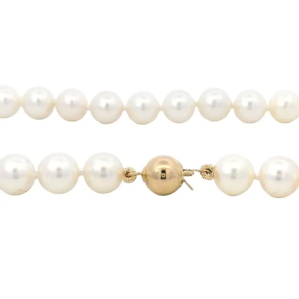 14 Karat Yellow Gold Akoya Pearl Strand Image 2 Saxons Fine Jewelers Bend, OR