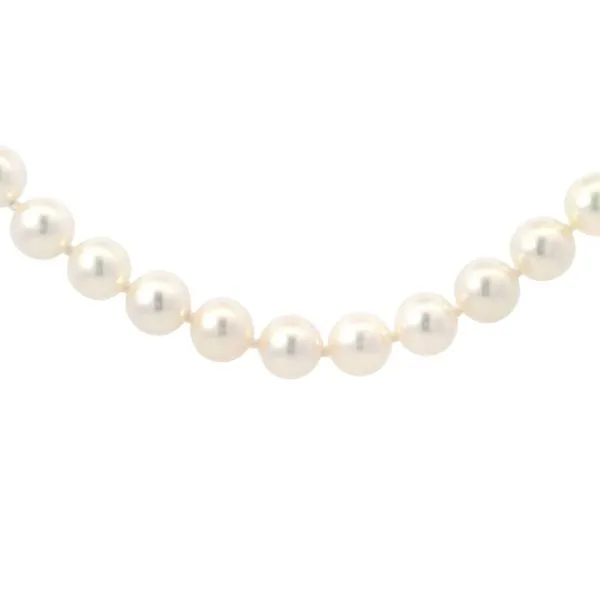 14 Karat Yellow Gold Akoya Pearl Strand similar item image
