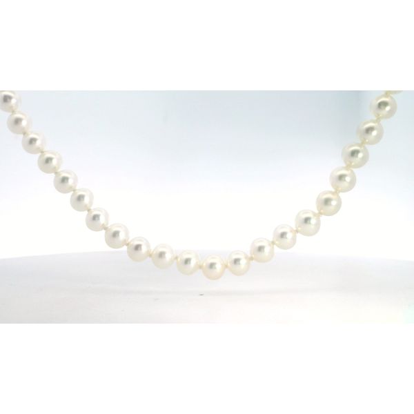 Sterling Silver Cream Freshwater Round Pearl Strand Necklace 6 to 6.5mm Pearls 17 Inch Barrel Clasp Saxons Fine Jewelers Bend, OR