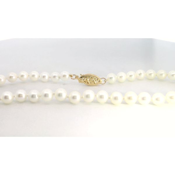 14K Yellow Gold Akoya Round Pearl Strand 5 x 5.5mm 18 Inch White Cream High Luster Pearl Necklace Image 2 Saxons Fine Jewelers Bend, OR