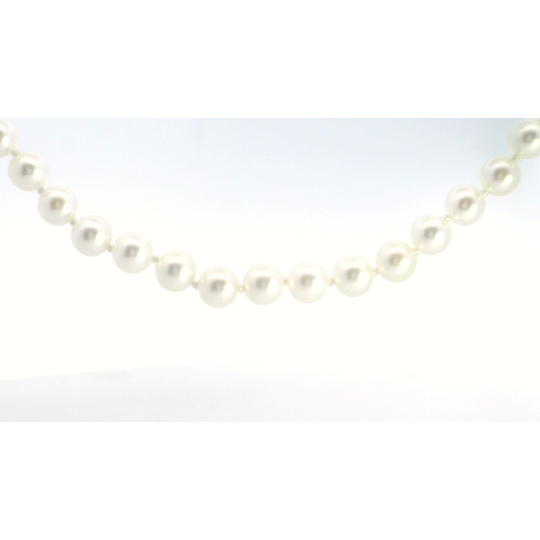 14K Yellow Gold Akoya Round Pearl Strand 5 x 5.5mm 18 Inch White Cream High Luster Pearl Necklace Saxons Fine Jewelers Bend, OR
