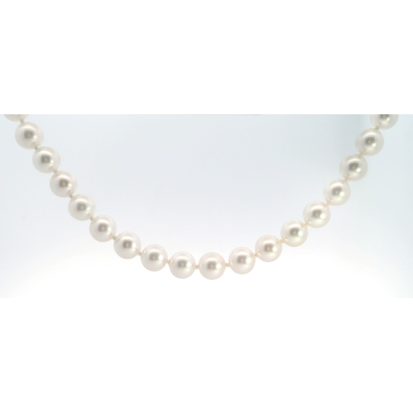14K White Gold Akoya Round Pearl Strand 54 Pearls 7.5 x 8mm 18 Inch White Rose Overtone High Luster Pearl Necklace Saxons Fine Jewelers Bend, OR