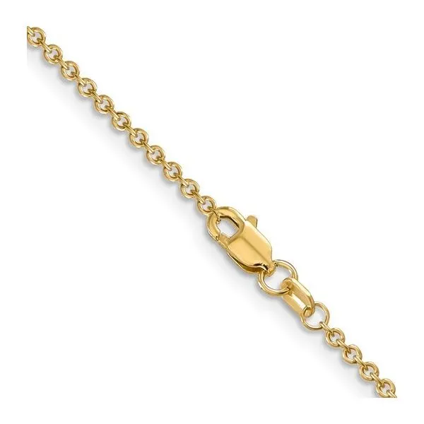 14 Karat Yellow Gold Round Open Link Cable Chain Saxons Fine Jewelers Bend, OR