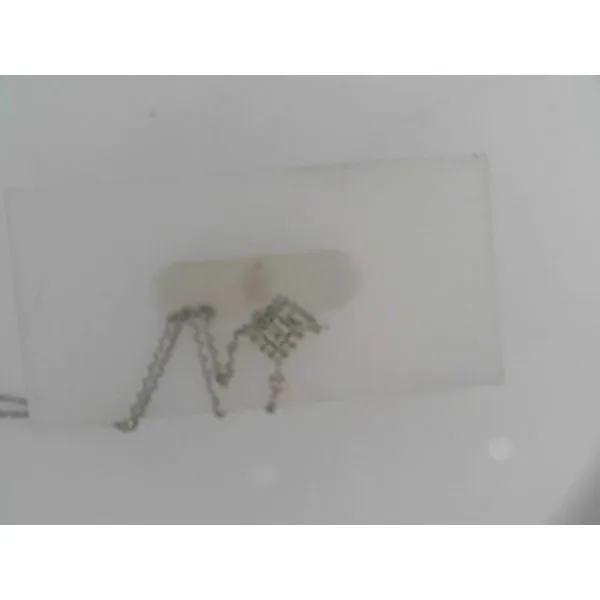 Pendant Score's Jewelers Anderson, SC
