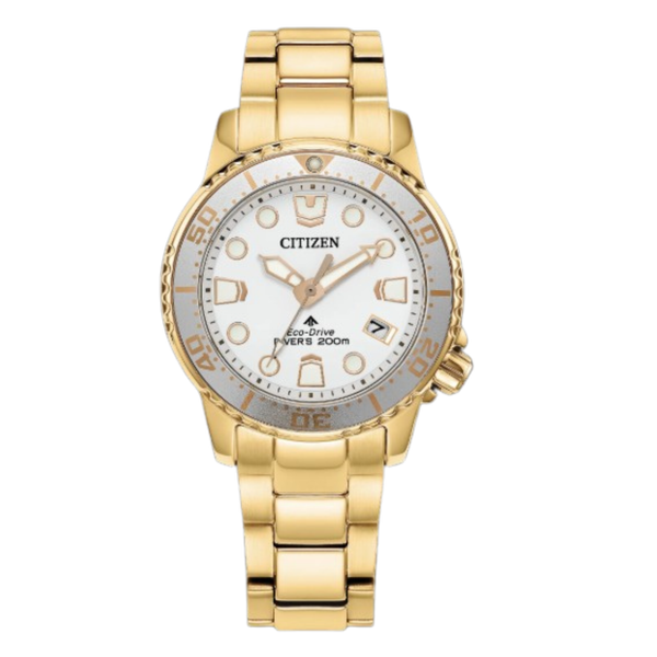 Lady's Yellow Stainlesssteel Divers 200M Eco-Drive Watch Segner's Jewelers Fredericksburg, TX