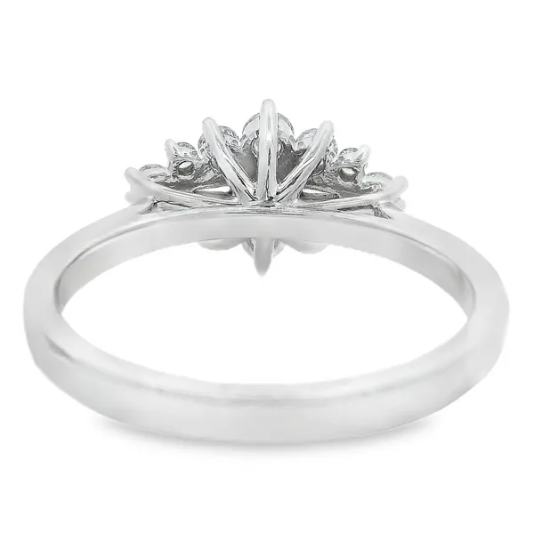 Natural Diamond Engagement Ring