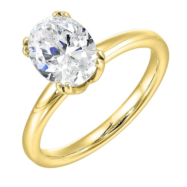 Lab Grown Diamond Engagement Ring Segner's Jewelers Fredericksburg, TX