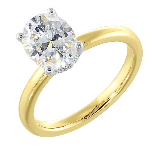 Engagement Ring Setting (No Center Stone) Segner's Jewelers Fredericksburg, TX