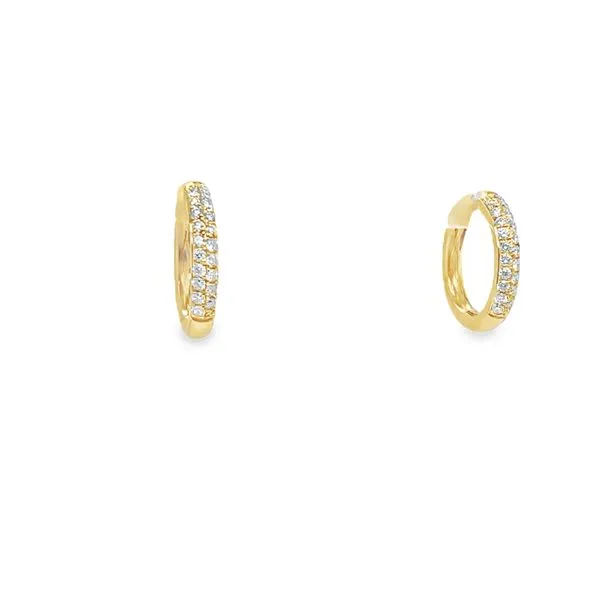 Diamond Earrings Segner's Jewelers Fredericksburg, TX