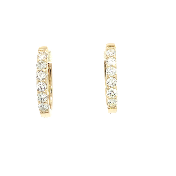 Diamond Earrings Segner's Jewelers Fredericksburg, TX