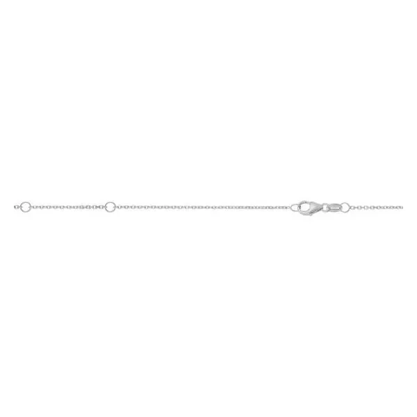 Silver Chain