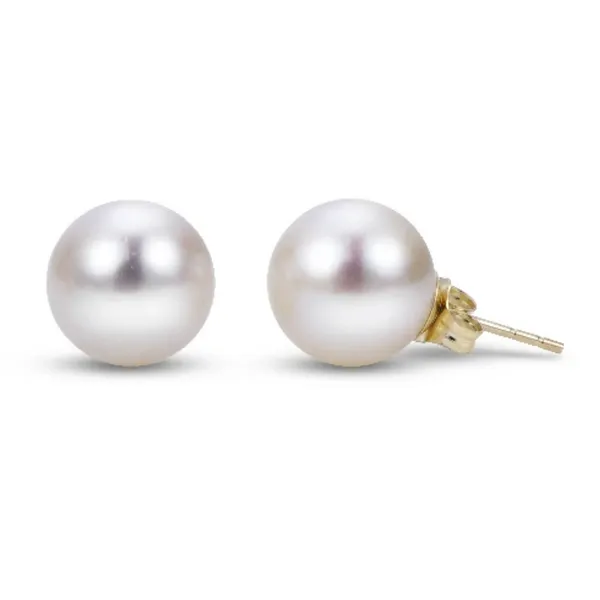Yellow Gold Freshwater Pearl Stud Earrings
