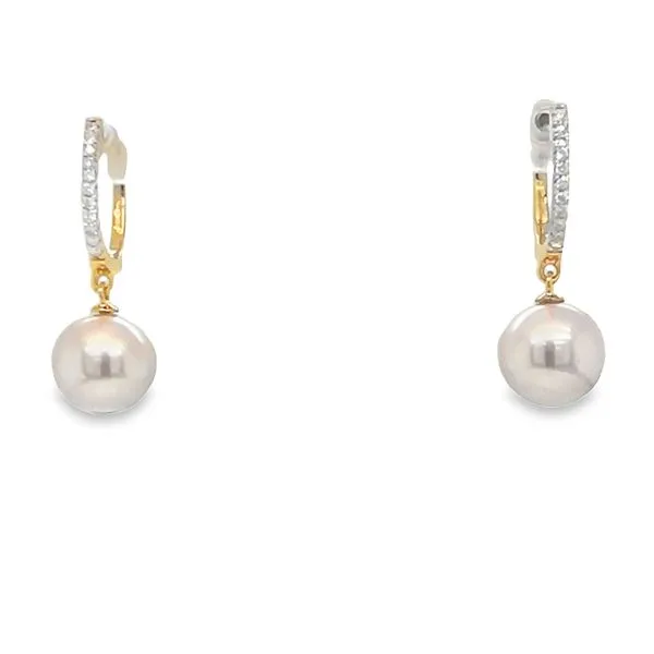 Yellow 14 Karat Diamond Drop Earrings Segner's Jewelers Fredericksburg, TX