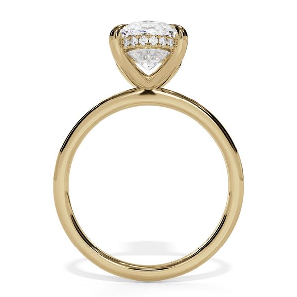 Classic Hidden Halo Engagement Ring with 1.80mm Shank Image 2 Shannon Jewelers Spring, TX