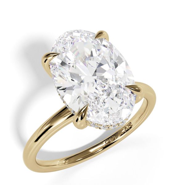 Classic Hidden Halo Engagement Ring with 1.80mm Shank Image 3 Shannon Jewelers Spring, TX