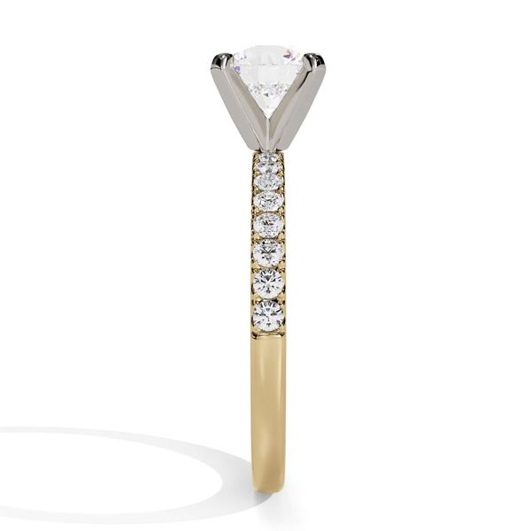 14K Yellow Gold French Pavé Diamond Engagement Ring Image 4 Shannon Jewelers Spring, TX